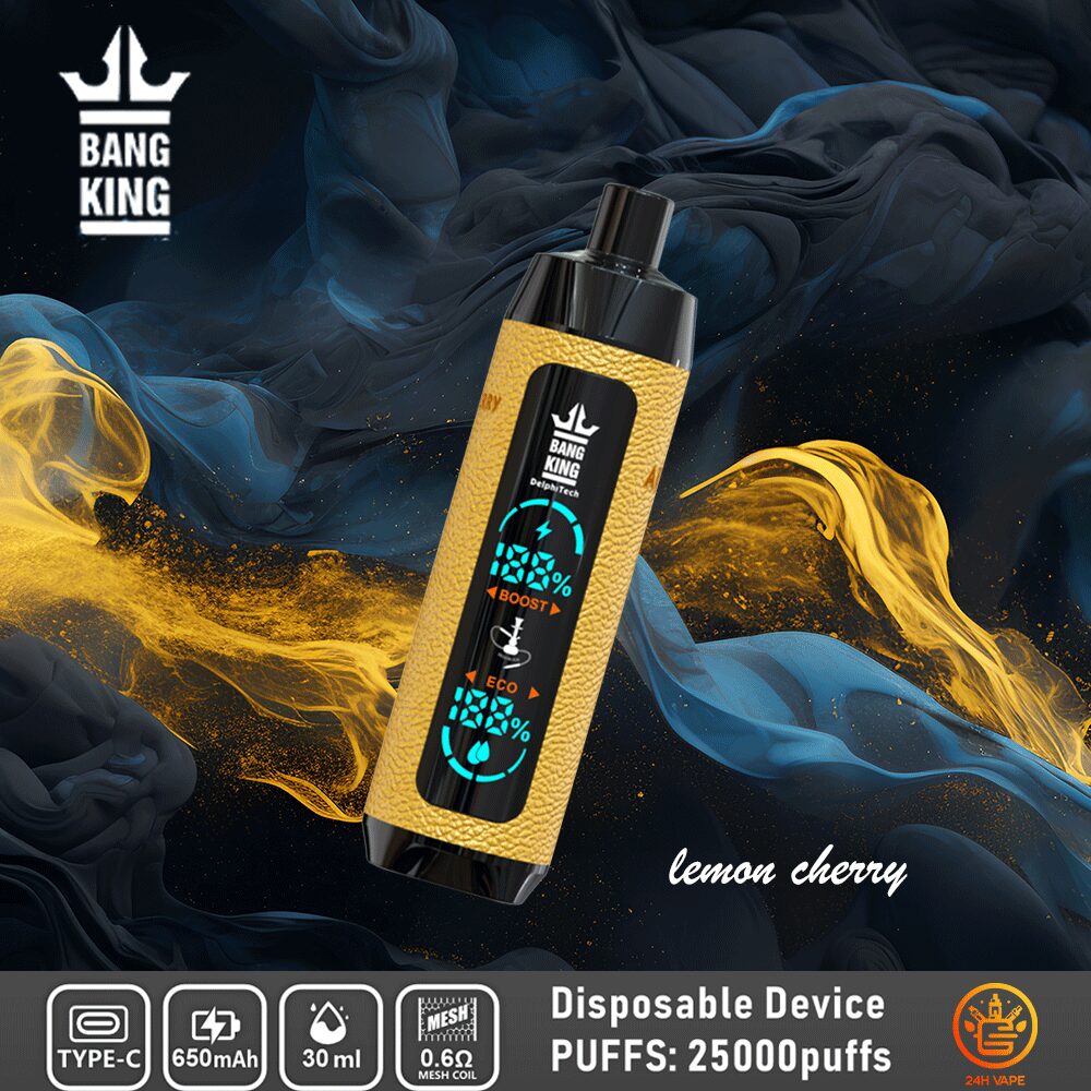 （3 pieces）Bang King Shisha 25000 25K Puffs Newest LED Display Leather Disposable Vape Pen