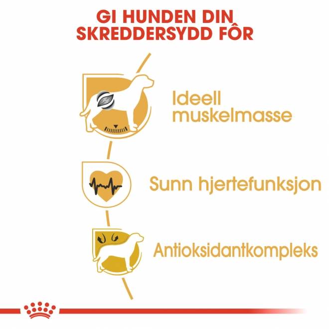 Royal Canin Boxer Adult tørrfôr til hund