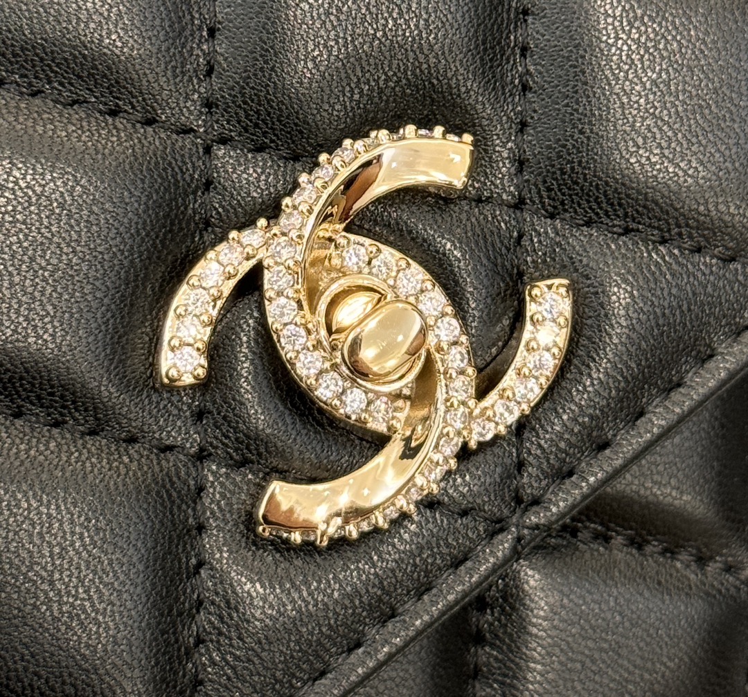 Wallet on Chain (WOC) with Crystal-Embellished Handle in Black Quilted Lambskin with Gold-Tone Hardware - Mocuir