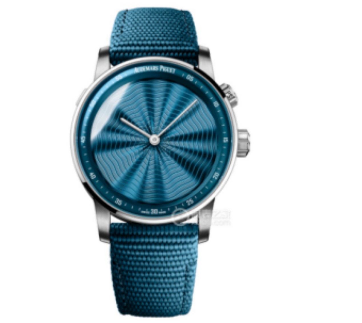 Audemars Piguet Watches