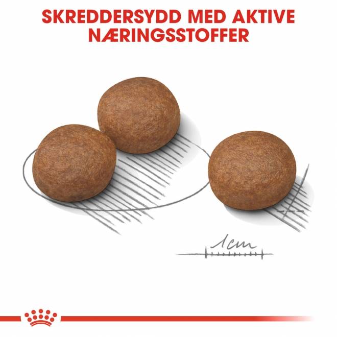 Royal Canin Digestive Care Medium Adult tørrfôr til hund