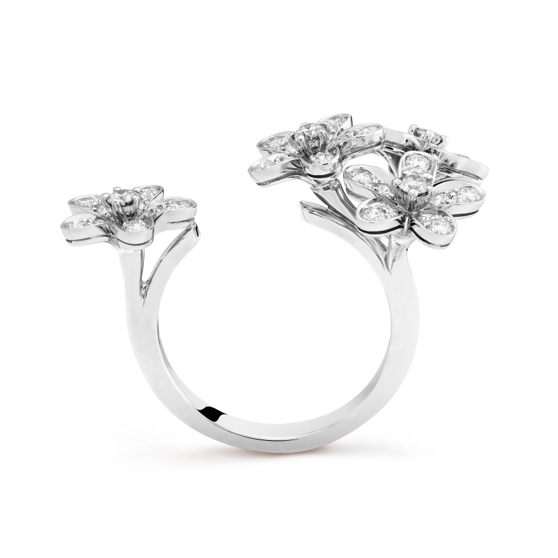 Socrate Between the Finger ring