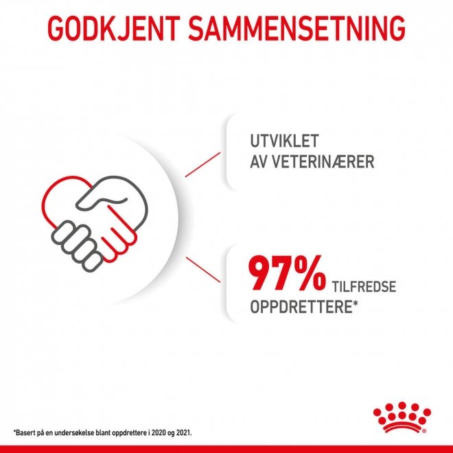 Royal Canin Mini Starter tørrfôr til hund og valp