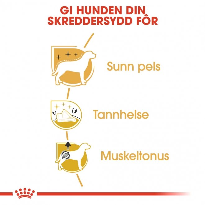 Royal Canin Poodle Adult tørrfôr til hund