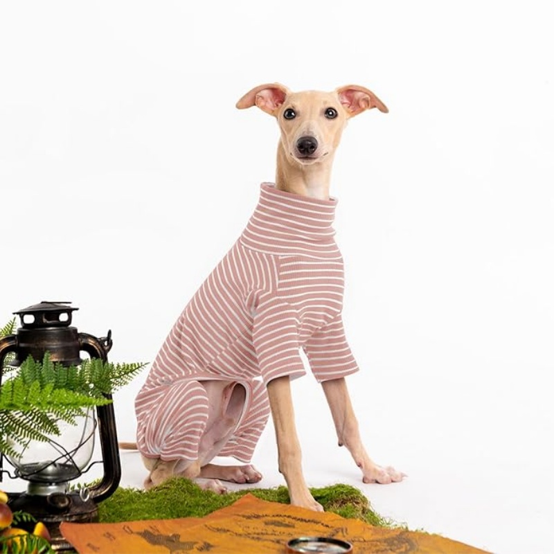 FURATTIRE Dog Sweaters for Small Dogs Girls Boys