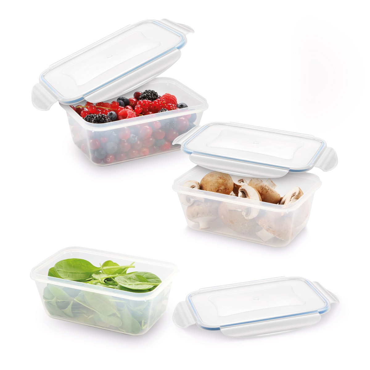 Dóza FRESHBOX 3 ks, 1,0 l, obdélníková