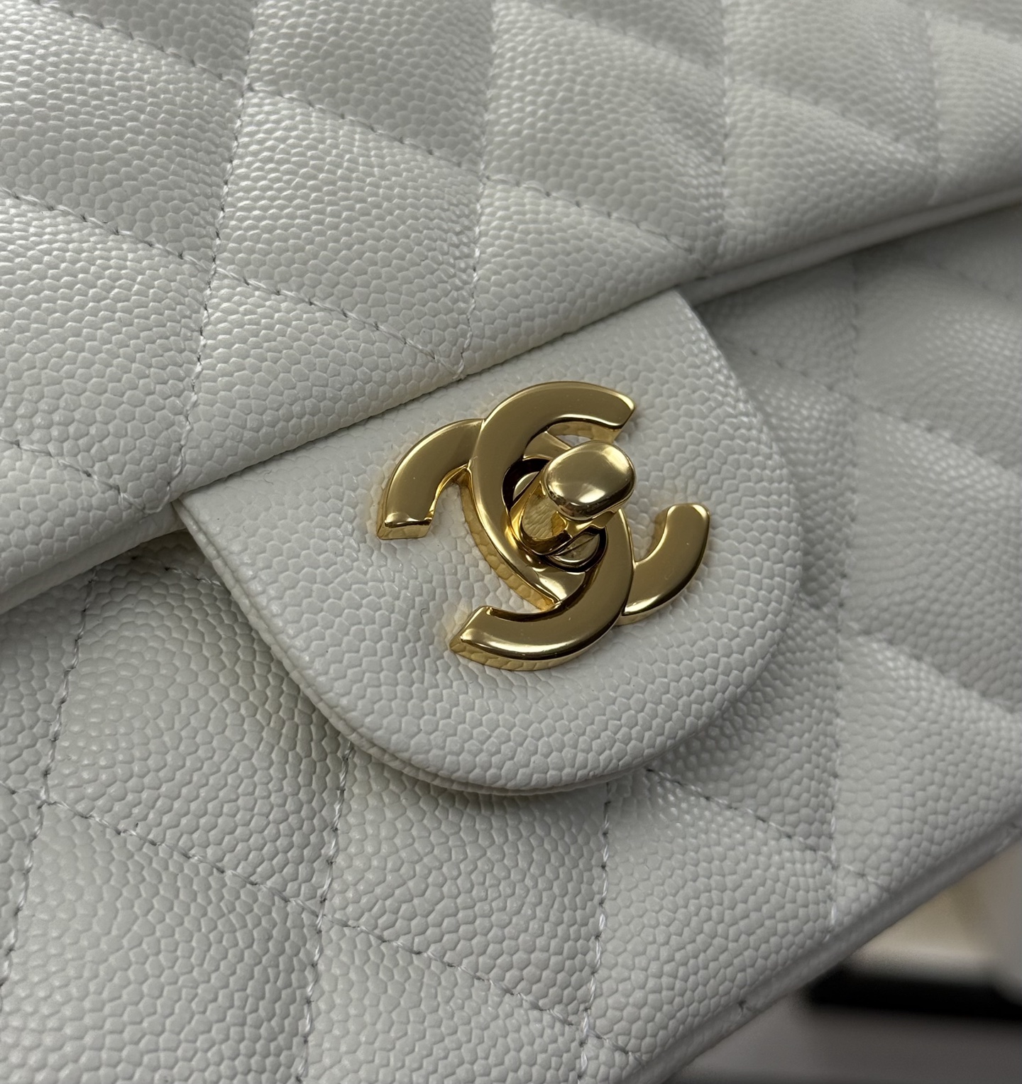 Classic Flap Bag - Mocuir