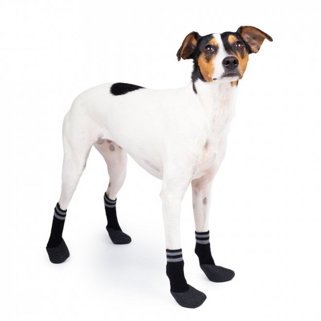 Basic Paws potesokker 4pcs sort