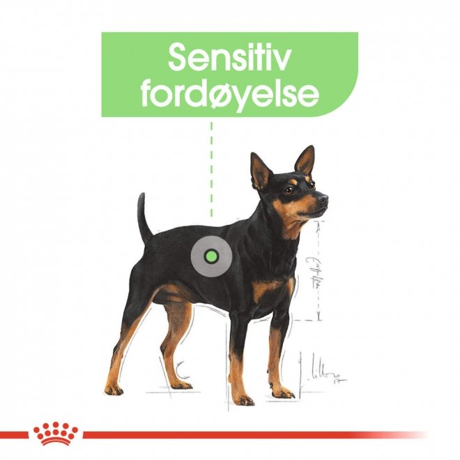 Royal Canin Digestive Care Mini Adult tørrfôr til hund
