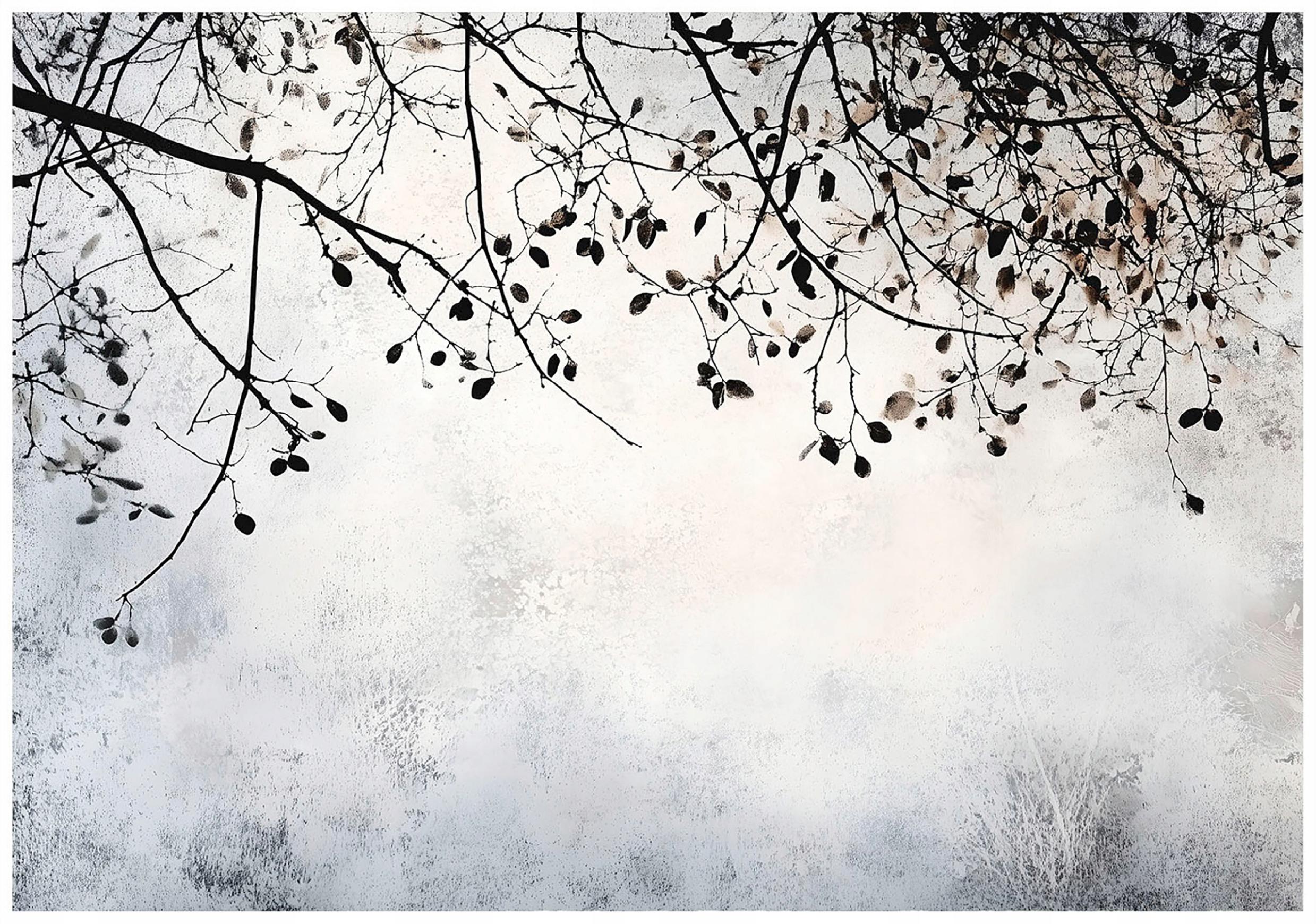 Photo wallpaper branches concrete tree bedroom living room wallpaper non-woven