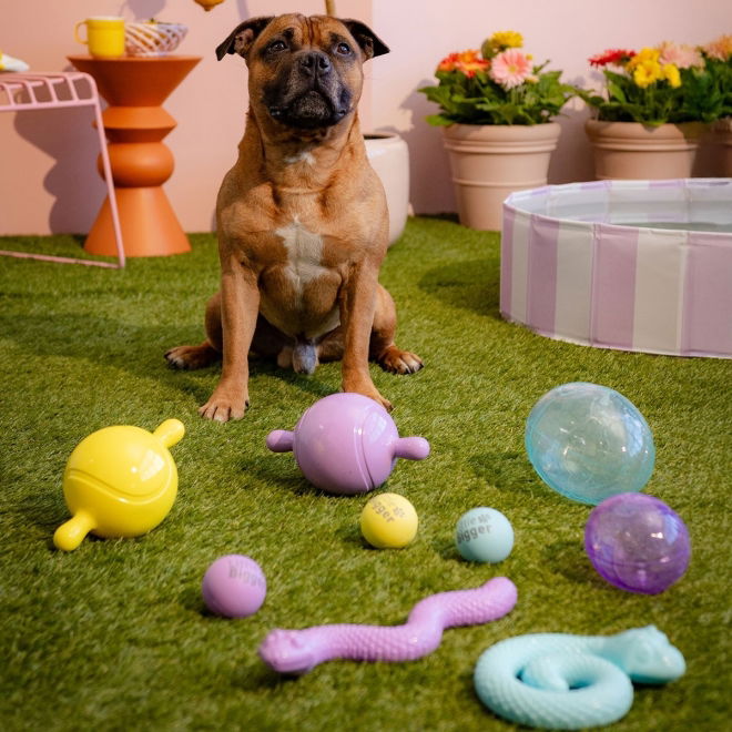 Little&Bigger HotSummer TPR-egg Blå L
