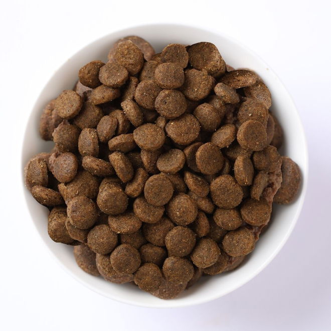 Farmina N&D Pumpkin Dog Lamb & Blueberry Puppy S 2,5 kg