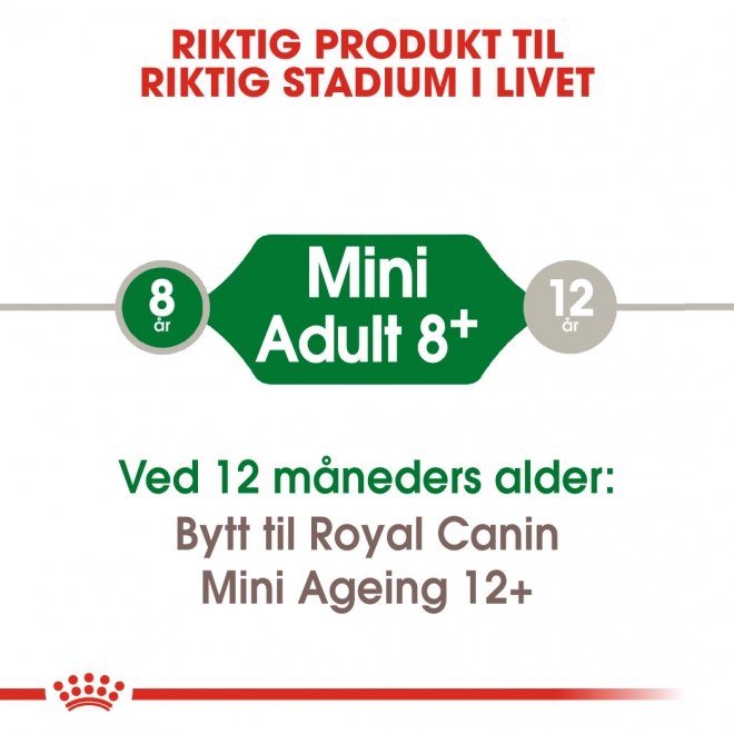 Royal Canin Mini Adult 8+ tørrfôr til hund