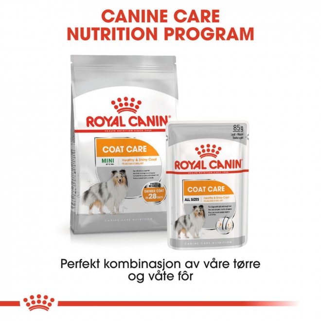 Royal Canin Coat Care Mini Adult tørrfôr til hund