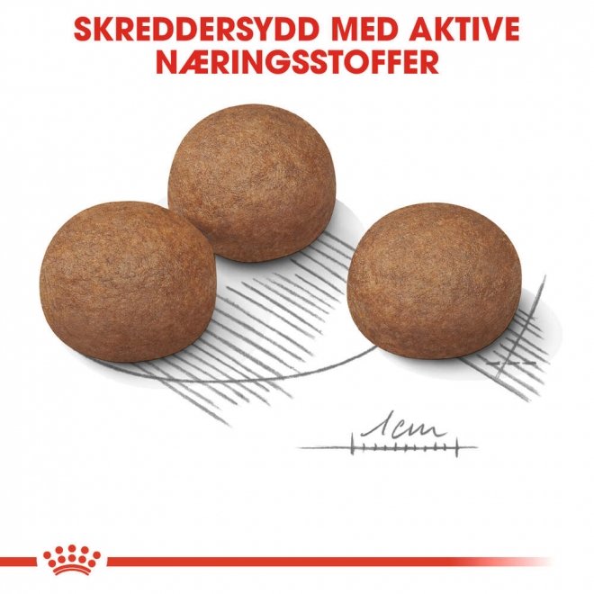 Royal Canin Digestive Care Maxi Adult tørrfôr til hund