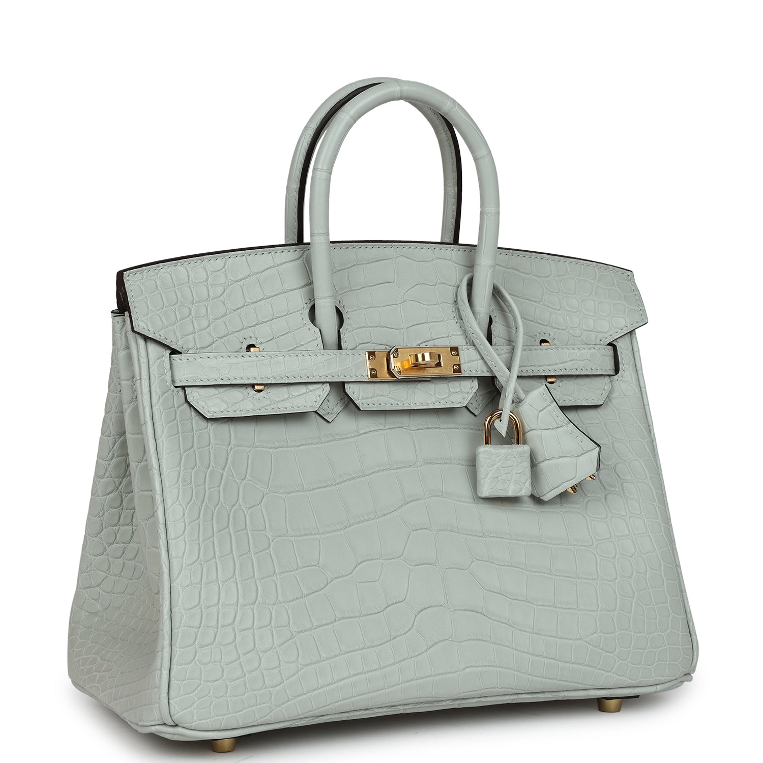 Birkin 25 Gris Neve Matte Alligator Gold Hardware