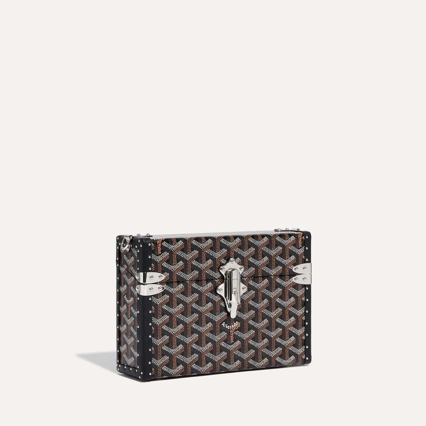 Goyard Trunk bags
