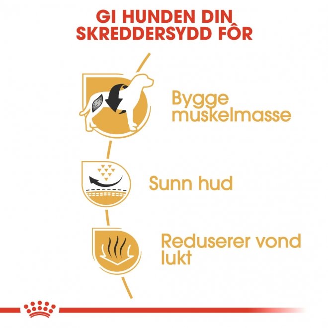 Royal Canin French Bulldog Adult tørrfôr til hund