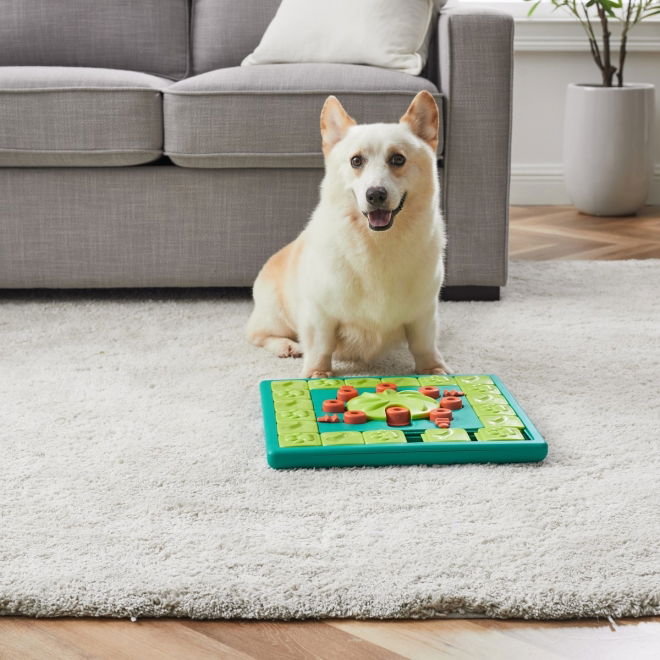 Nina Ottosson Dog Multi Puzzle Grønn