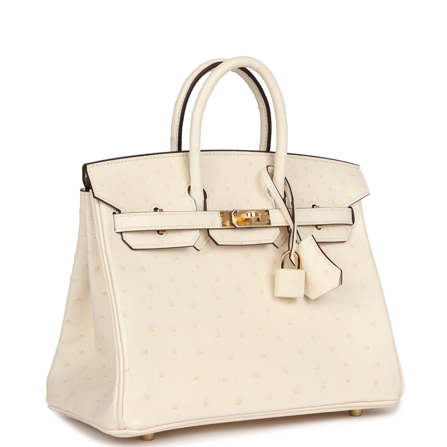 Birkin 25 Nata Ostrich Gold Hardware