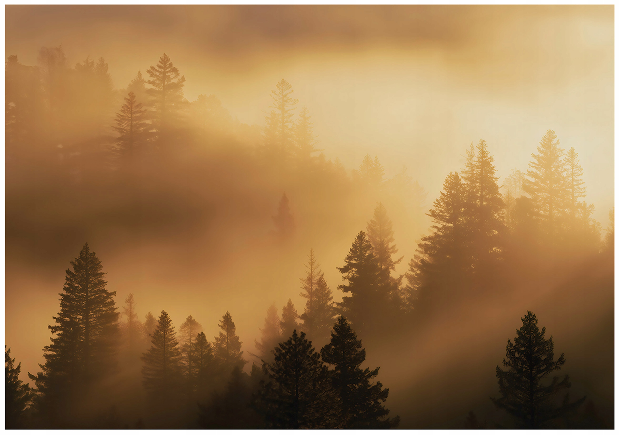 Wall mural forest in fog beige 3D bedroom living room wallpaper non-woven