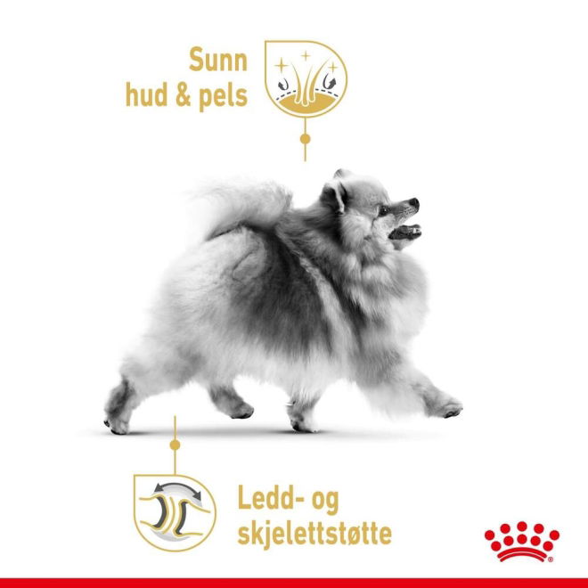 Royal Canin Pomeranian Adult tørrfôr til hund