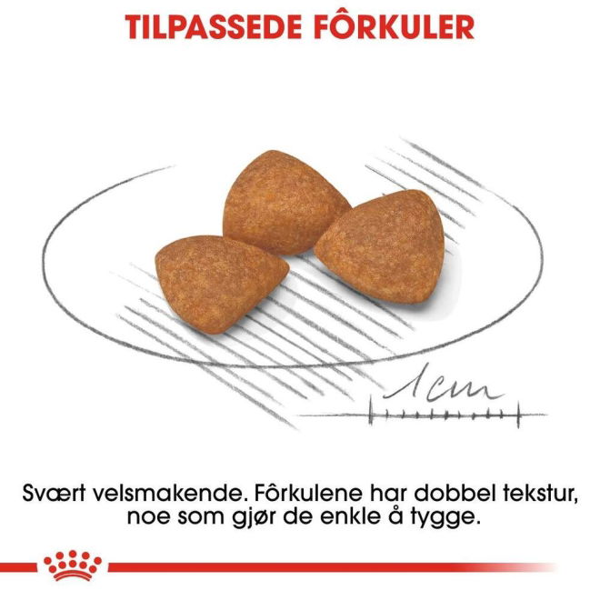 Royal Canin X-small Ageing 12+ tørrfôr til hund