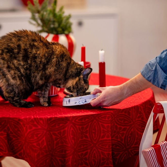 Moomin for Pets Winter matskål til katt