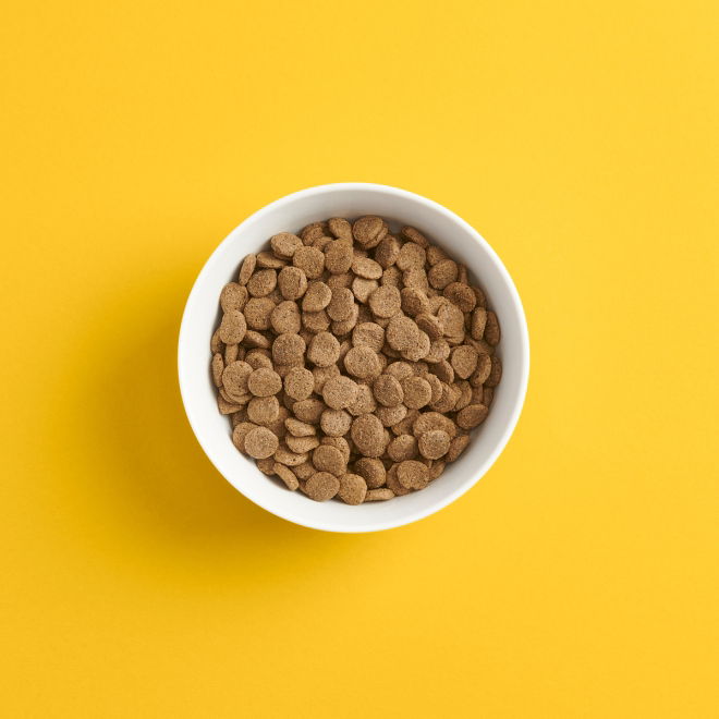 SMAAK Dog Adult Grain Free Lam