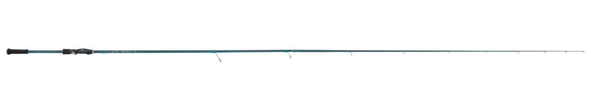 RAYFIN SPINNING