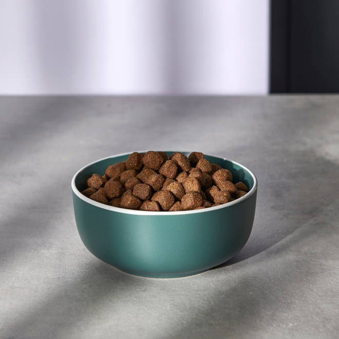 Nutrima Dog Adult Dental