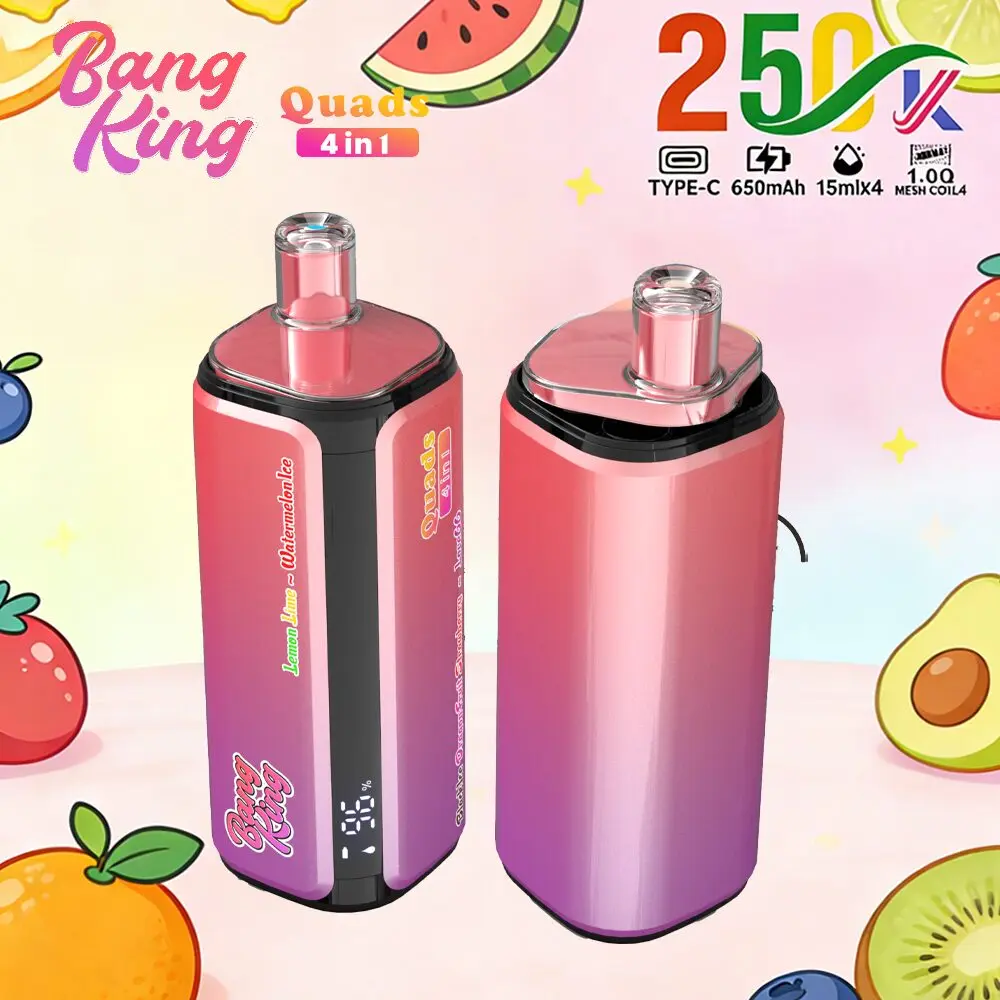 【New Arrive】Bang King 250000 Puffs 4-in-1 Vape – Ultra High Capacity | Mesh Coil | Type-C Rechargeable