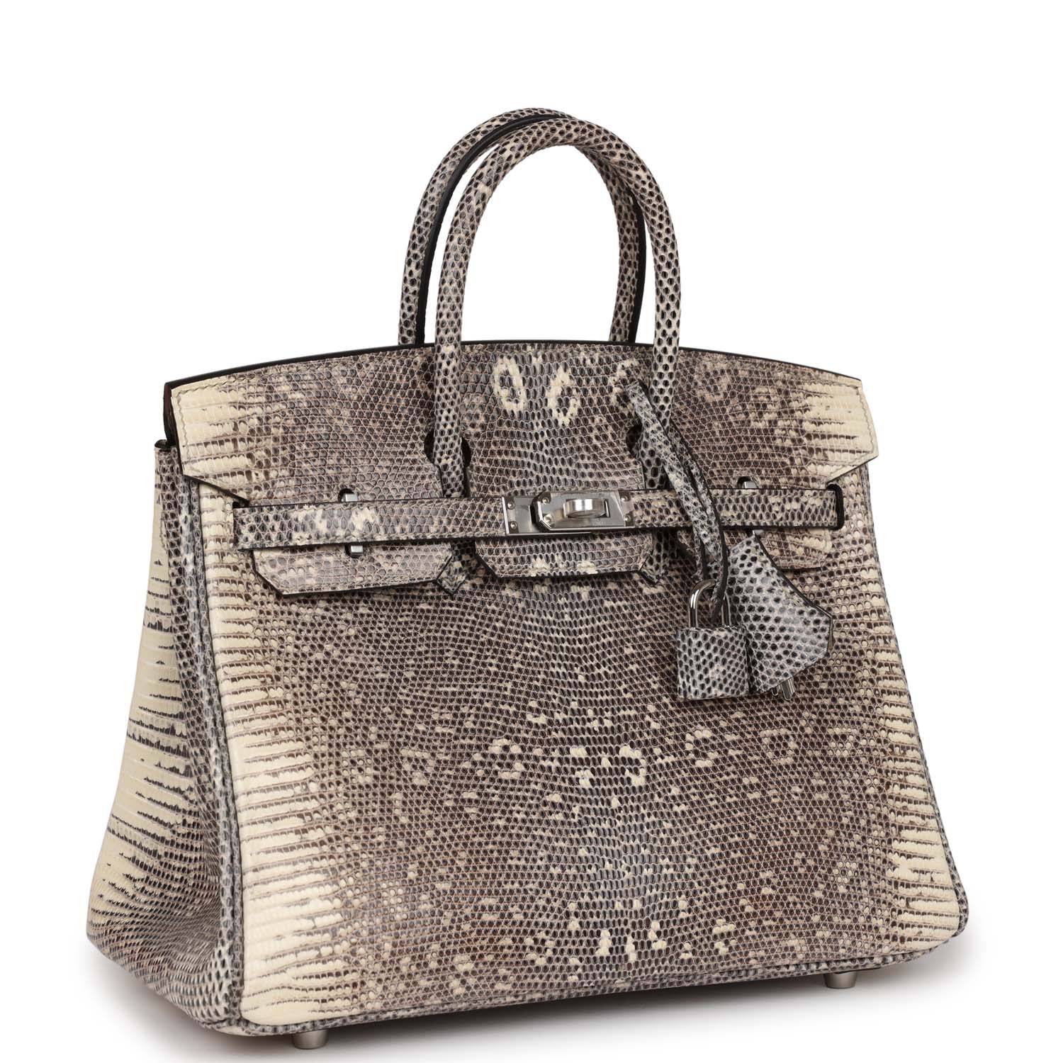 Birkin 25 Ombre Varanus Salvator Lizard Palladium Hardware