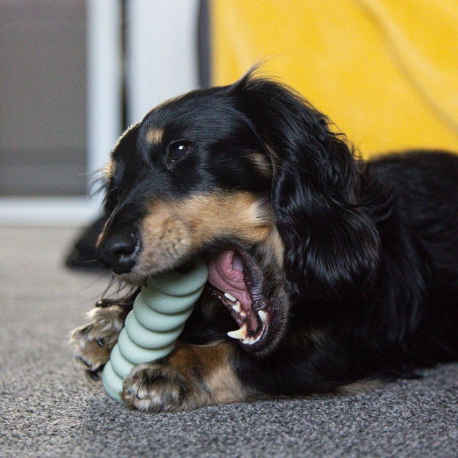 Nylabone Puppy Tactile Stick Peanøttsmør S