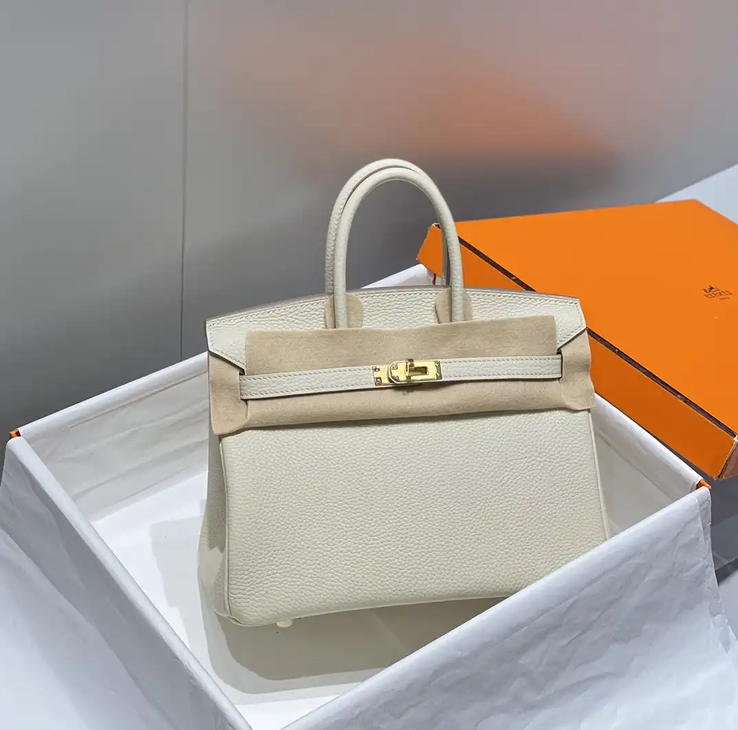 Togo Birkin 25