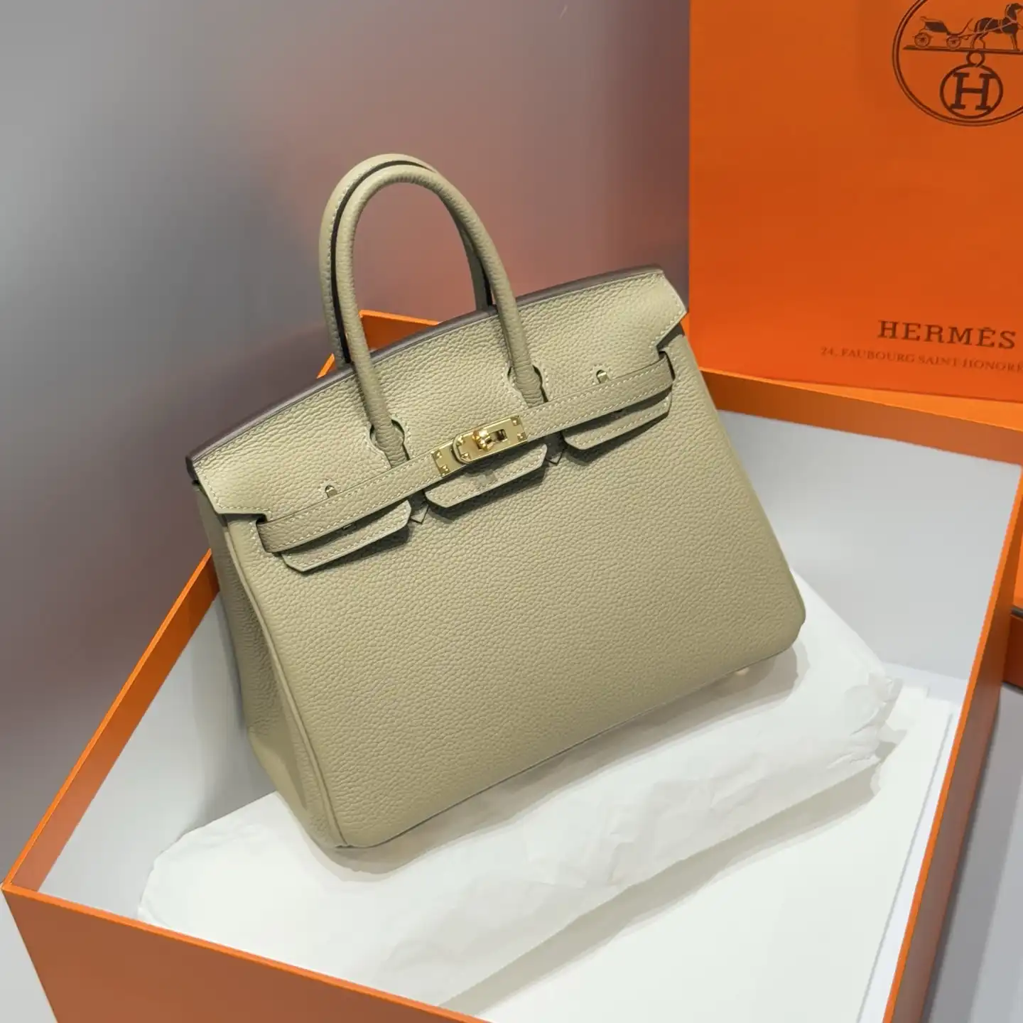 Togo Birkin 25