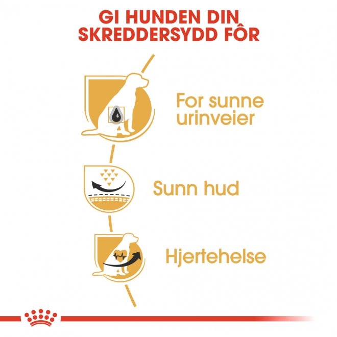 Royal Canin Dalmatian Adult tørrfôr til hund
