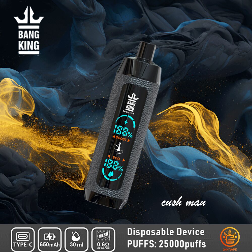 （3 pieces）Bang King Shisha 25000 25K Puffs Newest LED Display Leather Disposable Vape Pen