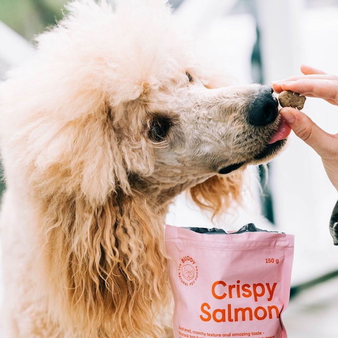 Buddy Petfoods godbiter til hund Laks 150 g