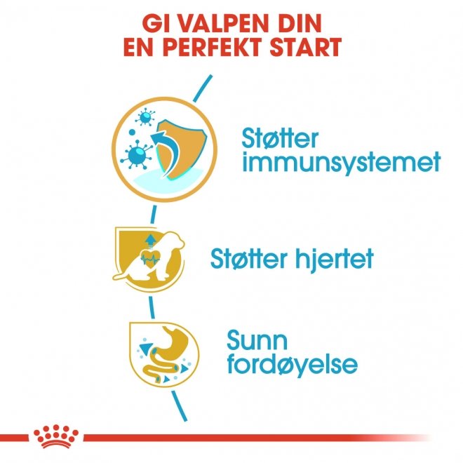 Royal Canin Cavalier King Charles Puppy tørrfôr til hundvalp