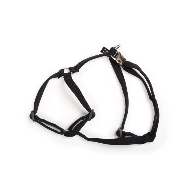 Basic Sweet sele med metall lås XXS
