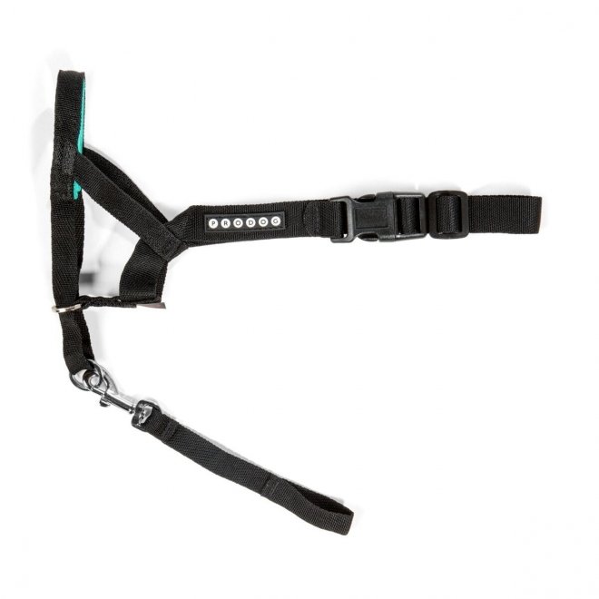 Pro Dog Control snutesele