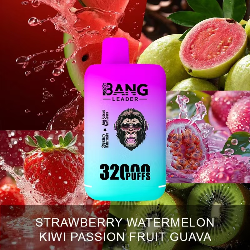 Bang Leader 32000 32k Puffs 2% 3% 5% Nicotine  Double Taste Disposable Vape