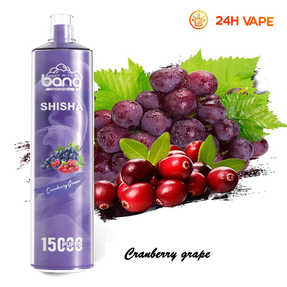 （3 pieces）Bang SHISHA 15000 Puffs Direct To Lung Disposable Electronic Cigarette New Vape Pen
