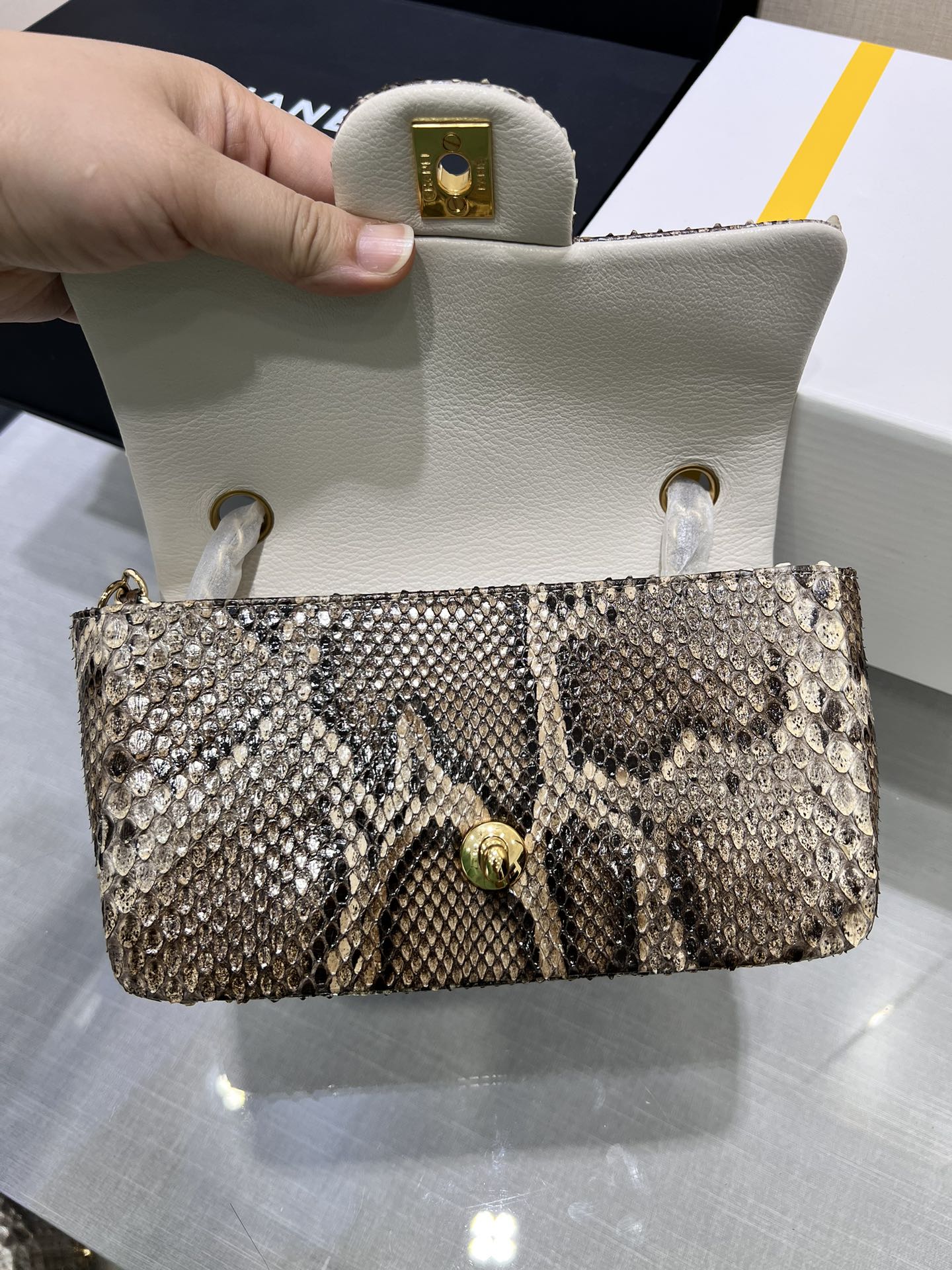 Classic Flap in Python（python skin） - Mocuir