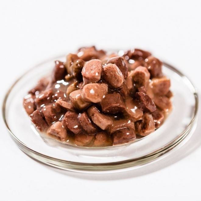Brit Premium Salmon & Trout Chunks in gravy Adult 100 g