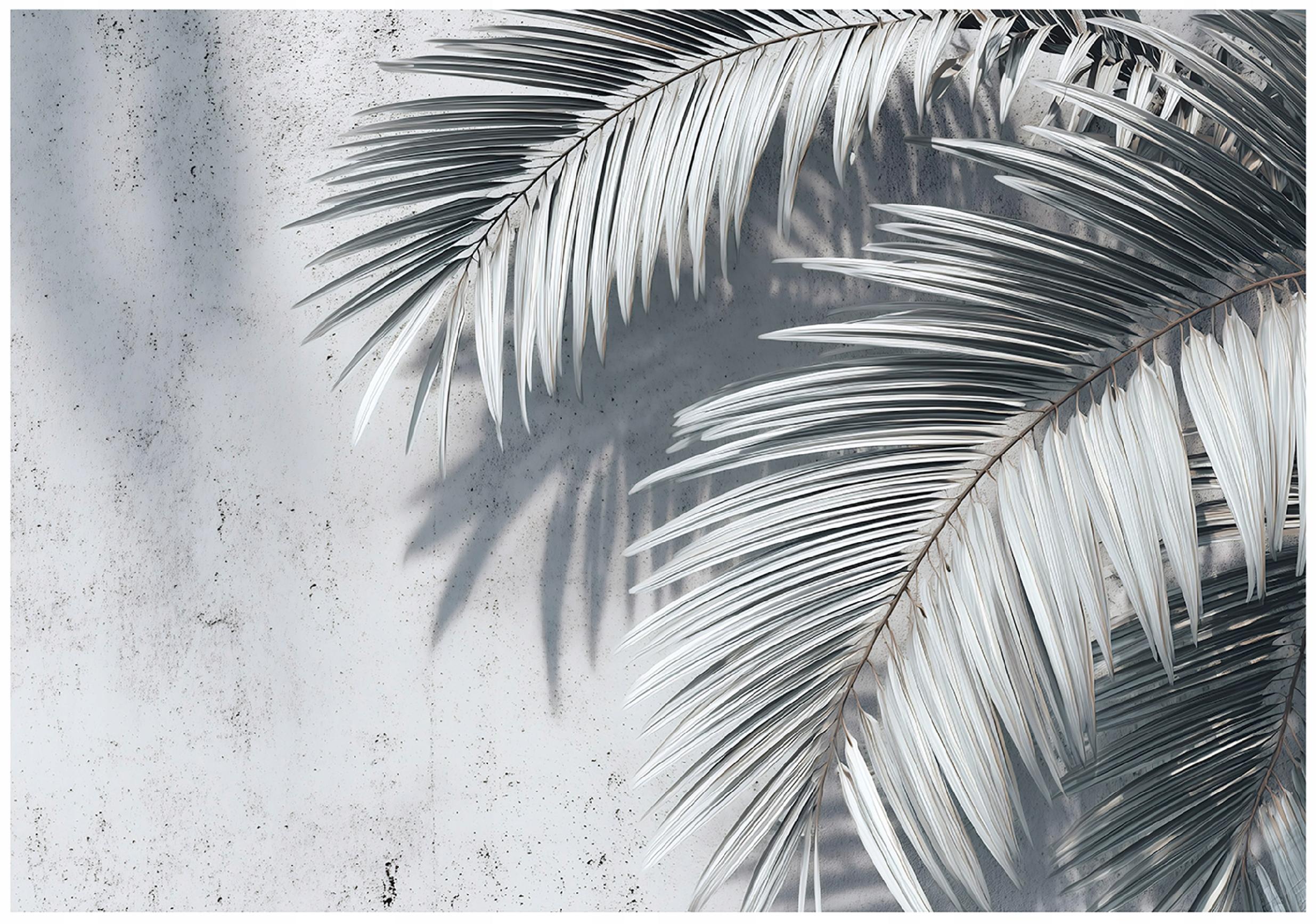 Palm leaves wall mural, concrete, bedroom, living room, non-woven wallpaper,
