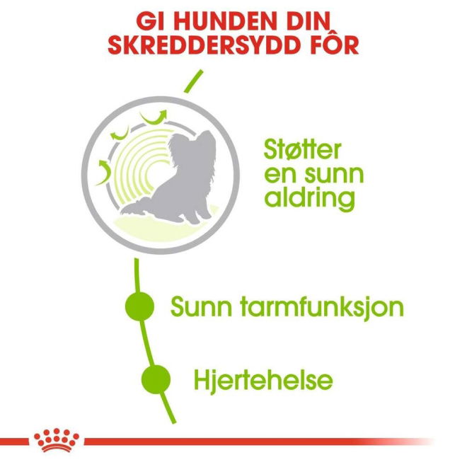 Royal Canin X-small Ageing 12+ tørrfôr til hund