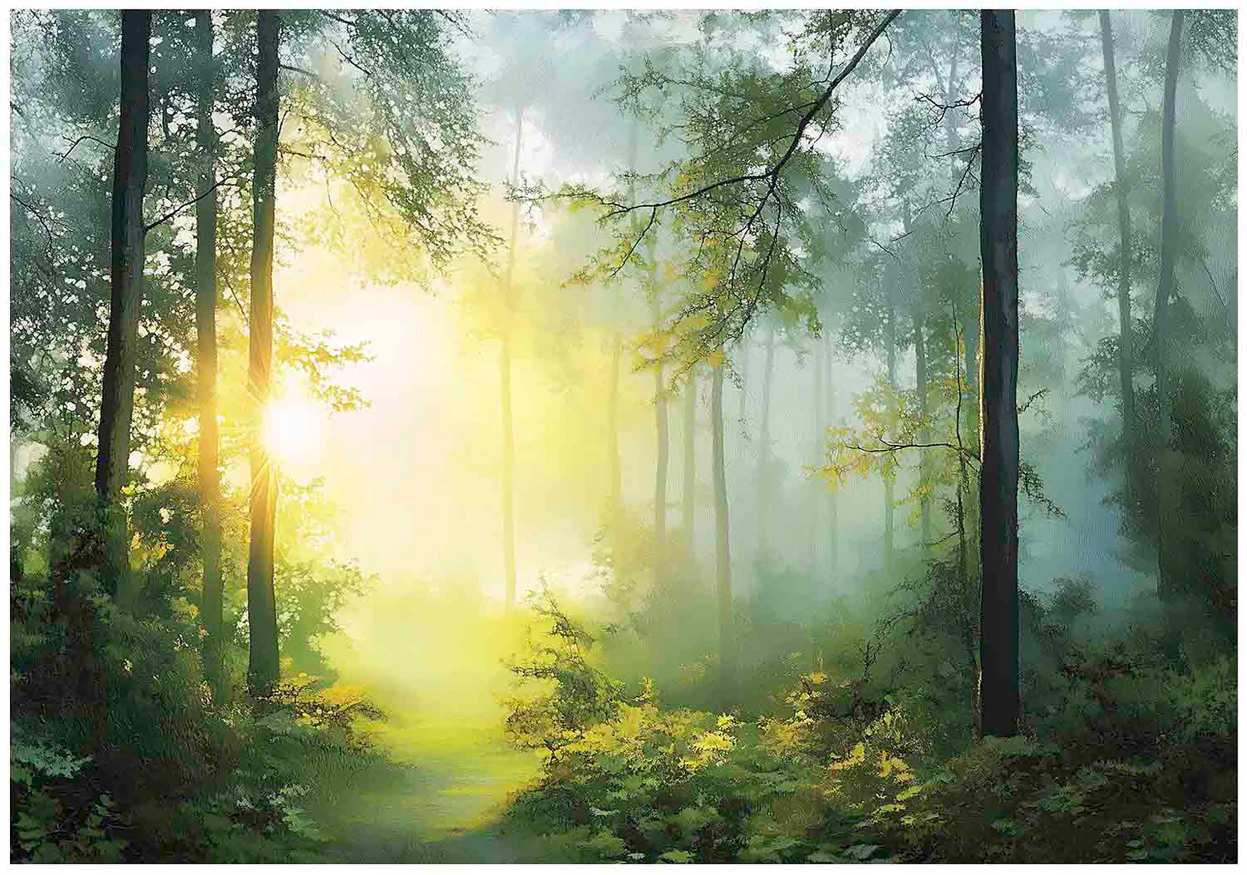 3D forest wall mural with trees, sun, nature for bedroom or living room wall,