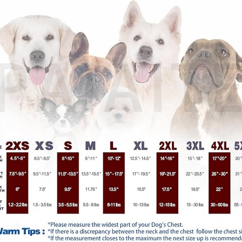 FURATTIRE Elevate Your Pet's Seasonal Style with Playful Panache